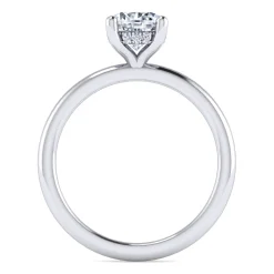New Gabriel & Co. Ady - 14K White Gold Hidden Halo Round Diamond Engagement Ring