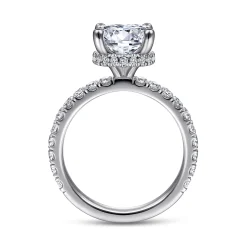 Best Gabriel & Co. Alina - 14K White Gold Hidden Halo Round Diamond Engagement Ring