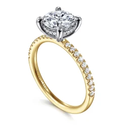 Clearance Gabriel & Co. Allison - 14K White-Yellow Gold Round Hidden Halo Diamond and Engagement Ring