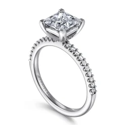 Clearance Gabriel & Co. Amata - 14K White Gold Princess Cut Diamond Engagement Ring