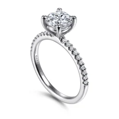Best Gabriel & Co. Amata - 14K White Gold Round Diamond Engagement Ring