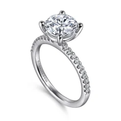 New Gabriel & Co. Amata - Platinum Round Diamond Engagement Ring