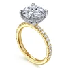 Discount Gabriel & Co. Amira - 14K White-Yellow Gold Round Diamond Engagement Ring