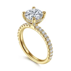 Best Gabriel & Co. Amira - 14K Yellow Gold Round Diamond Engagement Ring