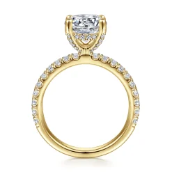 Best Gabriel & Co. Amira - 14K Yellow Gold Round Diamond Engagement Ring