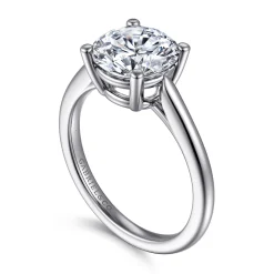 Best Gabriel & Co. Anushka - 14K White Gold Round Solitaire Diamond Engagement Ring