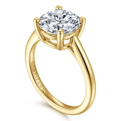 Best Gabriel & Co. Anushka - 14K Yellow Gold Round Solitaire Diamond Engagement Ring