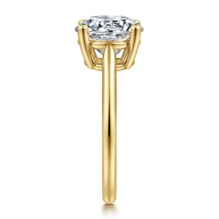 Best Gabriel & Co. Anushka - 14K Yellow Gold Round Solitaire Diamond Engagement Ring