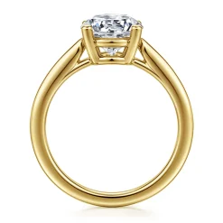 Best Gabriel & Co. Anushka - 14K Yellow Gold Round Solitaire Diamond Engagement Ring