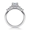 Best Gabriel & Co. Avah - Platinum Emerald Cut Diamond Cluster Engagement Ring
