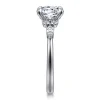 Online Gabriel & Co. Avah - Platinum Round Diamond Cluster Engagement Ring