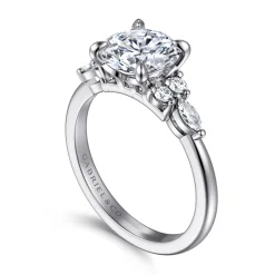 Online Gabriel & Co. Avah - Platinum Round Diamond Cluster Engagement Ring