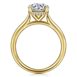 Best Gabriel & Co. Azucena - 14K Yellow Gold Round Solitaire Diamond Engagement Ring