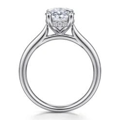 Best Gabriel & Co. Azucena - Platinum Oval Solitaire Diamond Engagement Ring