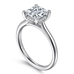 Online Gabriel & Co. Azucena - Platinum Princess Cut Solitaire Diamond Engagement Ring