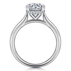 Best Gabriel & Co. Azucena - Platinum Round Solitaire Diamond Engagement Ring