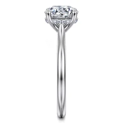 Best Gabriel & Co. Azucena - Platinum Round Solitaire Diamond Engagement Ring