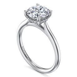 Best Gabriel & Co. Azucena - Platinum Round Solitaire Diamond Engagement Ring