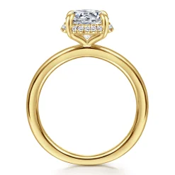 Outlet Gabriel & Co. Bonnie - 14K Yellow Gold Round Hidden Halo Diamond Engagement Ring