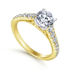 Best Gabriel & Co. Bridget - 14K White-Yellow Gold Round Diamond Engagement Ring