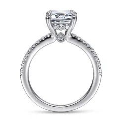 Best Gabriel & Co. Broderick - 14K White Gold Emerald Cut Diamond Engagement Ring