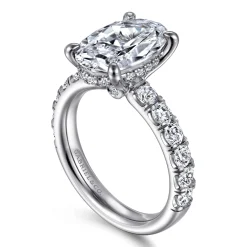 Best Gabriel & Co. Broderick - 14K White Gold Oval Diamond Engagement Ring