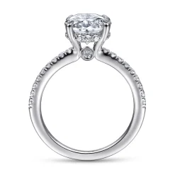 Clearance Gabriel & Co. Broderick - Platinum Oval Diamond Engagement Ring