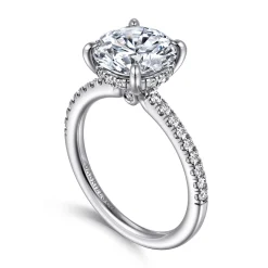 Online Gabriel & Co. Broderick - Platinum Round Diamond Engagement Ring