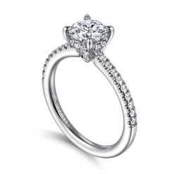 New Gabriel & Co. Broderick - Platinum Round Diamond Engagement Ring