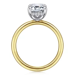 Best Gabriel & Co. Cari - 14K White-Yellow Gold Emerald Cut Diamond Engagement Ring