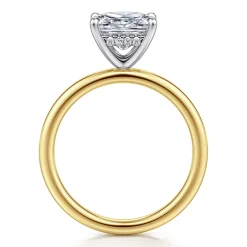 Online Gabriel & Co. Cari - 14K White-Yellow Gold Princess Diamond Engagement Ring