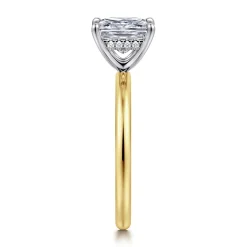Online Gabriel & Co. Cari - 14K White-Yellow Gold Princess Diamond Engagement Ring