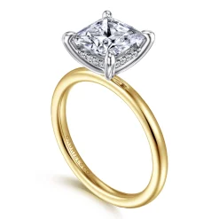 Best Gabriel & Co. Cari - 14K White-Yellow Gold Princess Cut Diamond Engagement Ring