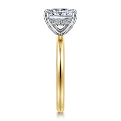 Best Gabriel & Co. Cari - 14K White-Yellow Gold Princess Cut Diamond Engagement Ring