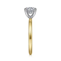 Best Gabriel & Co. Cari - 14K White-Yellow Gold Round Diamond Engagement Ring