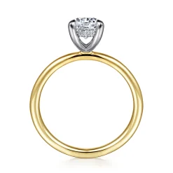 Best Gabriel & Co. Cari - 14K White-Yellow Gold Round Diamond Engagement Ring