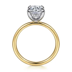 Gabriel & Co. Cari - 14K White-Yellow Gold Round Diamond Engagement Ring