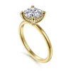 Best Gabriel & Co. Cari - 14K Yellow Gold Round Diamond Engagement Ring