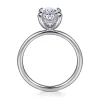 Sale Gabriel & Co. Cari - Platinum Oval Diamond Engagement Ring
