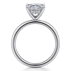 Hot Gabriel & Co. Cari - Platinum Princess Diamond Engagement Ring