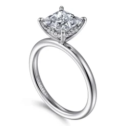 Hot Gabriel & Co. Cari - Platinum Princess Diamond Engagement Ring