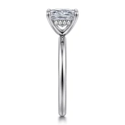 Hot Gabriel & Co. Cari - Platinum Princess Diamond Engagement Ring