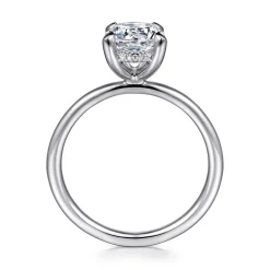 Best Gabriel & Co. Cari - Platinum Round Diamond Engagement Ring
