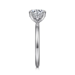 Best Gabriel & Co. Cari - Platinum Round Diamond Engagement Ring