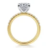 Clearance Gabriel & Co. Carmellia - 14K White-Yellow Gold Princess Cut Diamond Engagement Ring