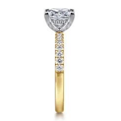 Clearance Gabriel & Co. Carmellia - 14K White-Yellow Gold Princess Cut Diamond Engagement Ring