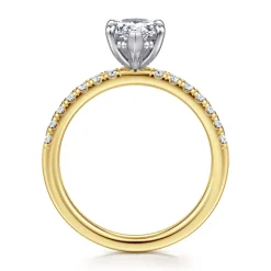 Best Gabriel & Co. Carmellia - 14K White-Yellow Gold Pear Shape Diamond Engagement Ring
