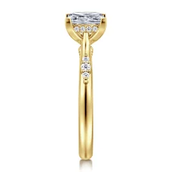 Best Gabriel & Co. Carroline - 14K Yellow Gold Princess Cut Diamond Engagement Ring