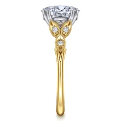 Best Gabriel & Co. Celia - 14K White-Yellow Gold Oval Diamond Engagement Ring