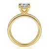 Sale Gabriel & Co. Coralie - 14K Yellow Gold Emerald Cut Diamond Engagement Ring